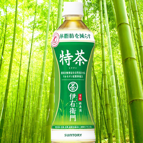 サントリー緑茶　伊右衛門　特茶(特定保健用食品)バラ販売不可